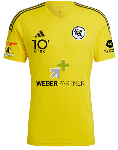 TW-Trikot Heim 